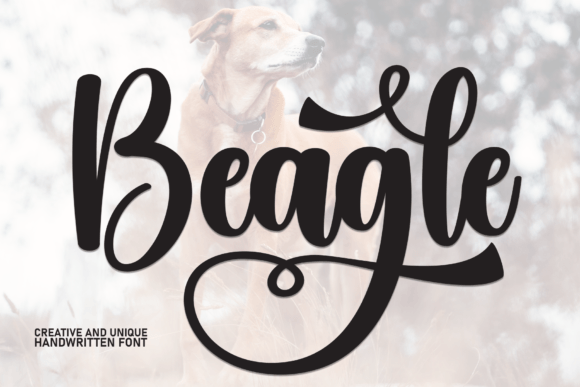 Beagle: A Refined Script Font for Digital Brand Moments