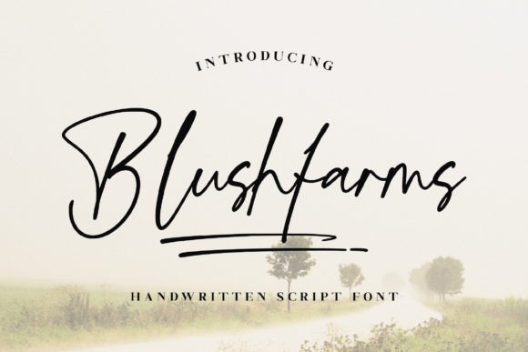 Blushfarms: A Refined Script Font for Digital Branding