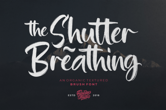 Shutter Breathing: A Premium Script Font for Scroll-Stopping Marketing
